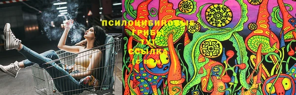 СК Заволжье