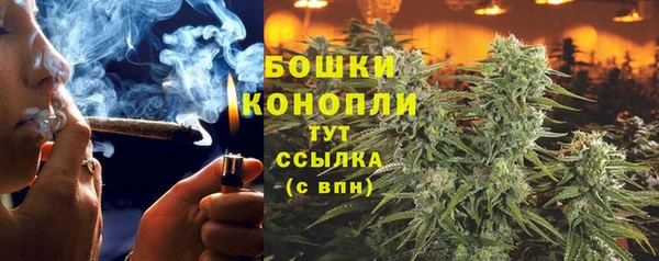 альфа пвп Заволжск