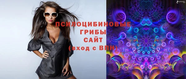 2c-b Заводоуковск