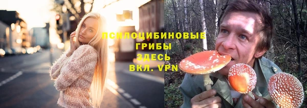 СК Заволжье
