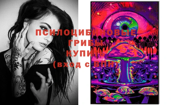 СК Заволжье