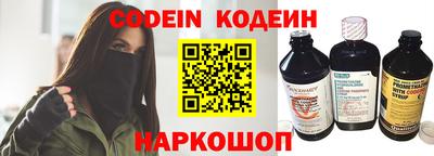СК Кингисепп