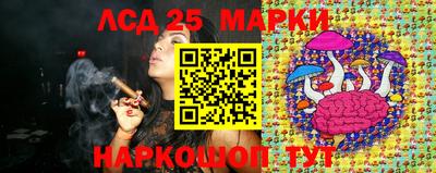 СК Кингисепп