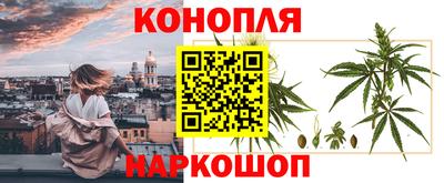 СК Кингисепп