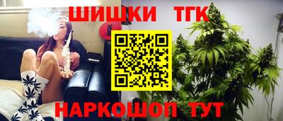 СК Кингисепп