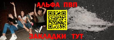 СК Кингисепп
