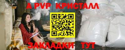 СК Кингисепп