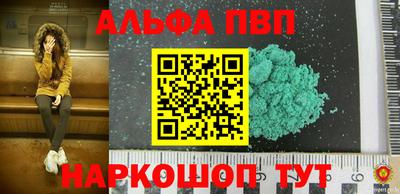 СК Кингисепп