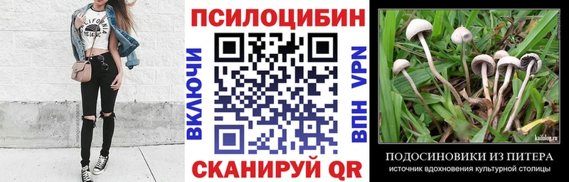 как найти закладки  Касимов  Псилоцибиновые грибы Cubensis 