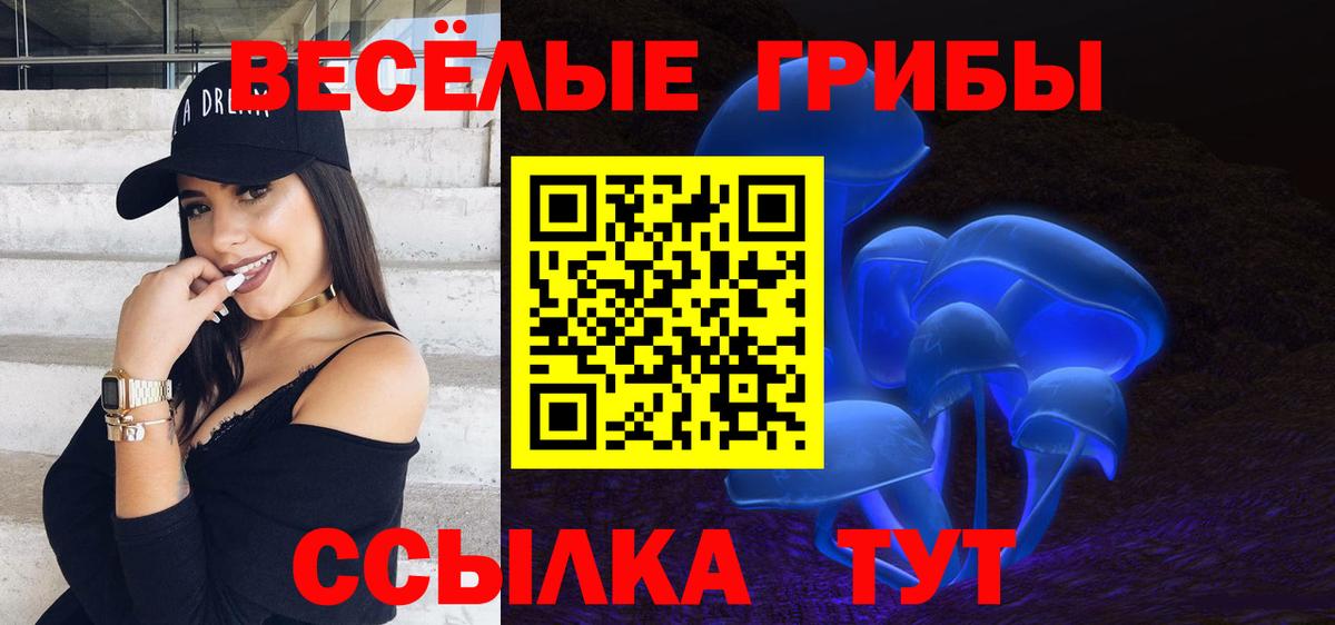 Галлюциногенные грибы Cubensis  Псилоцибиновые грибы GOLDEN TEACHER  Вход с VPN  Касимов 