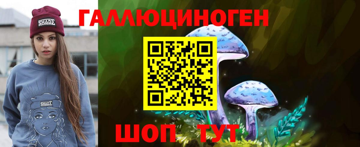 Галлюциногенные грибы Psilocybine cubensis Касимов
